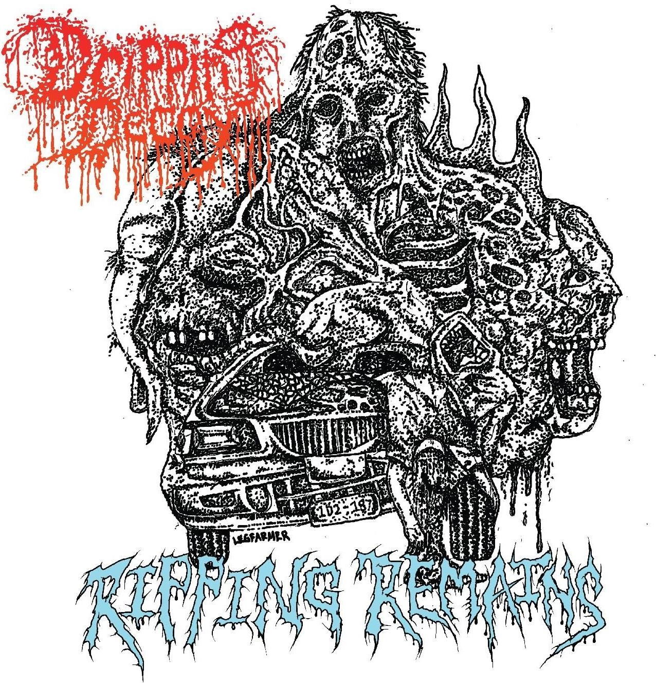 Vinyl Dripping Decay - RIPPING REMAINS