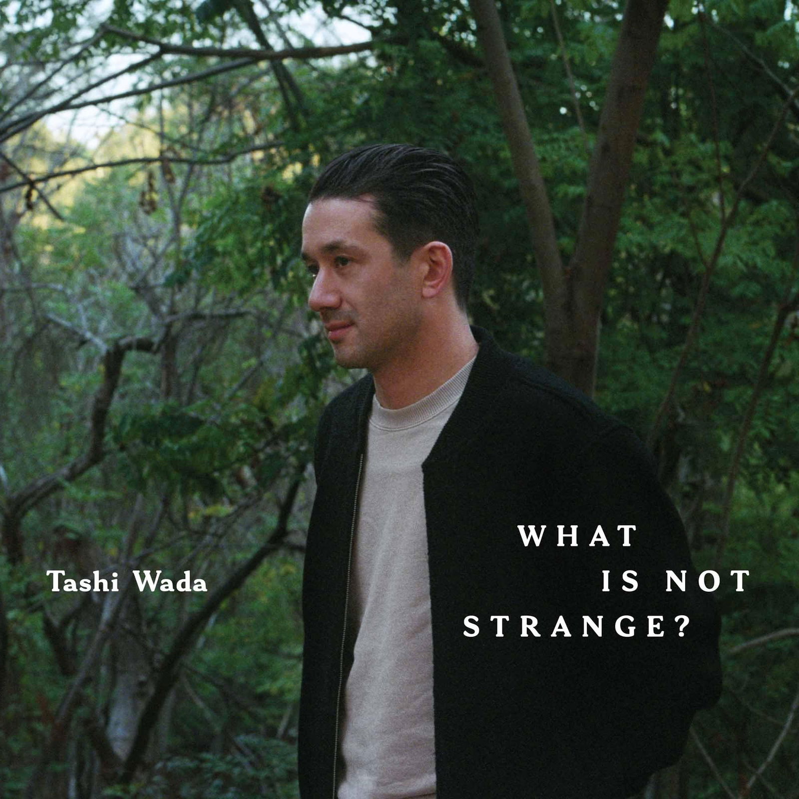 Vinyl Tashi Wada - WHAT IS NOT STRANGE?