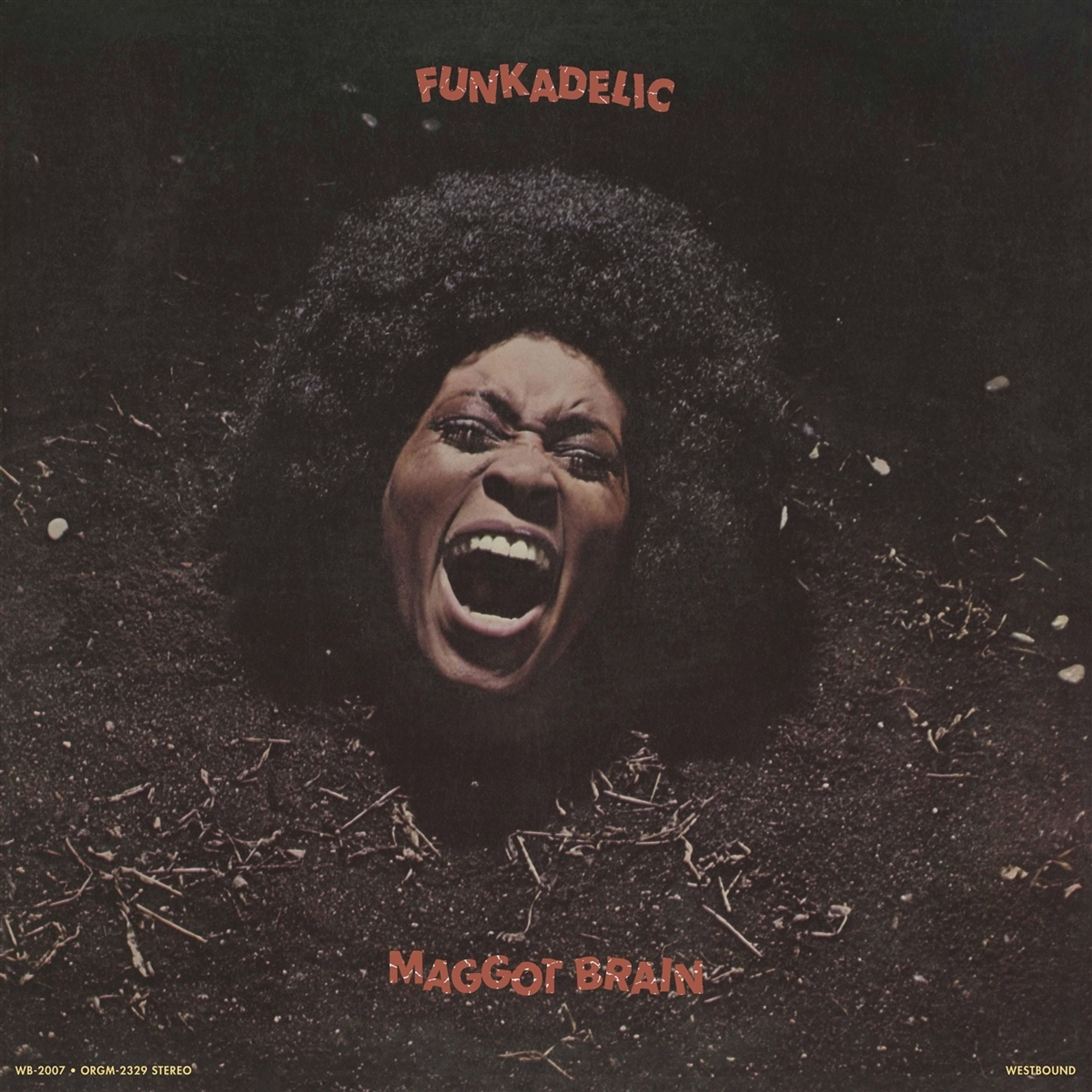 CD Funkadelic - MAGGOT BRAIN