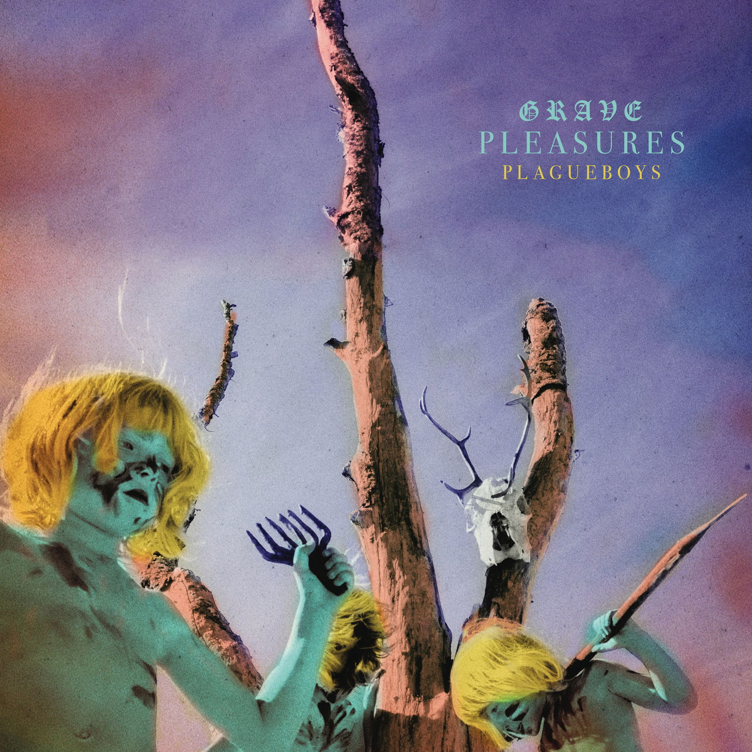 Vinyl Grave Pleasures - Plagueboys