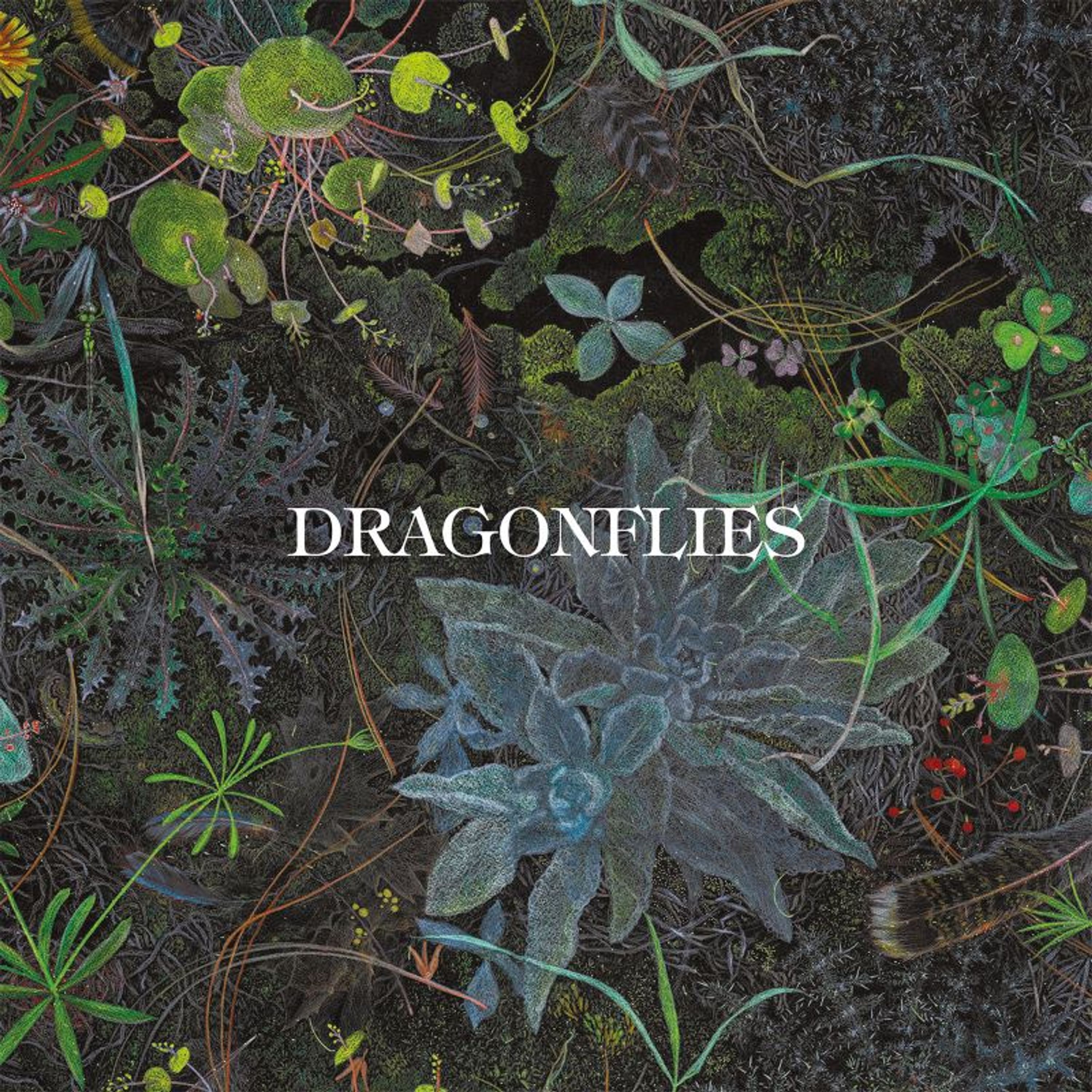 CD - DRAGONFLIES