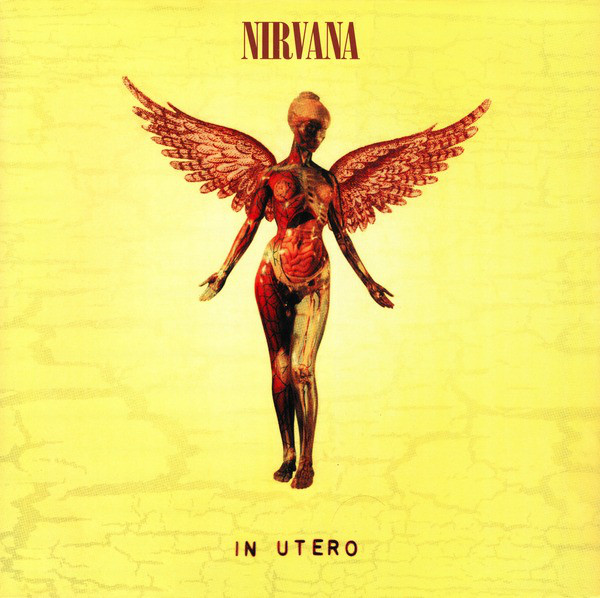 Vinyl Nirvana - In Utero