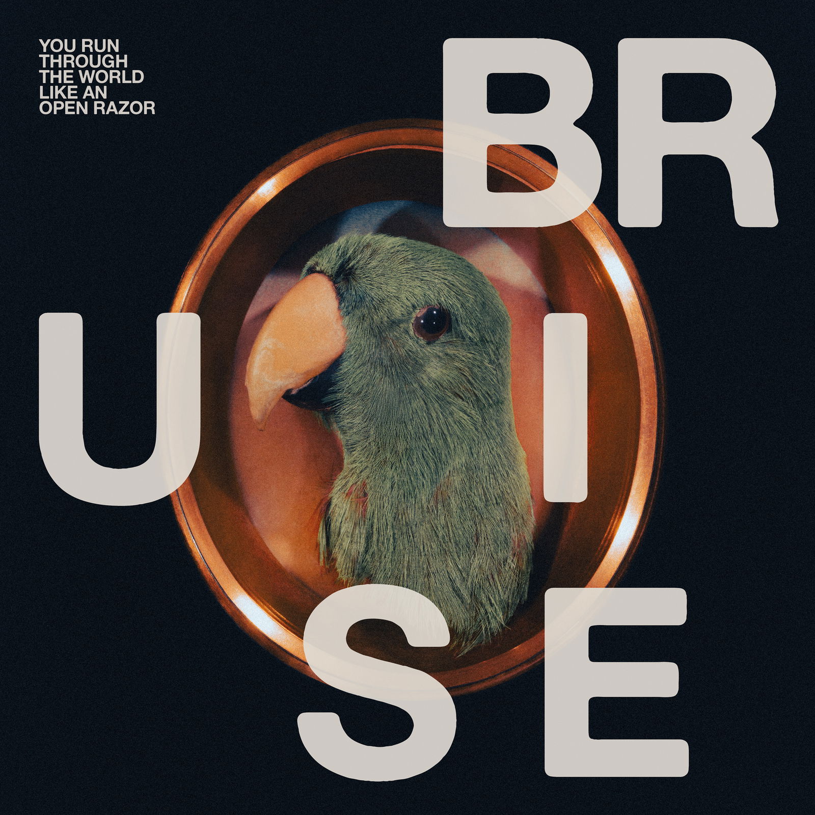 Vinyl Bruise Blood - YOU RUN THROUGH THE WORLD LIKE AN OPEN RAZOR