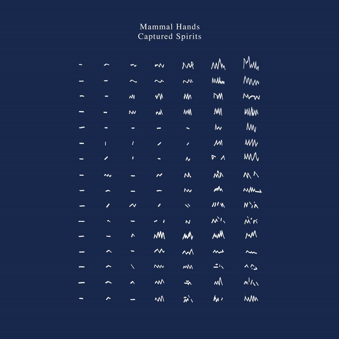 Vinyl Mammal Hands - CAPTURED SPIRITS