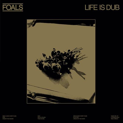 Vinyl Foals - LIFE IS DUB (GOLD VINYL ALBUM RSD 2023)
