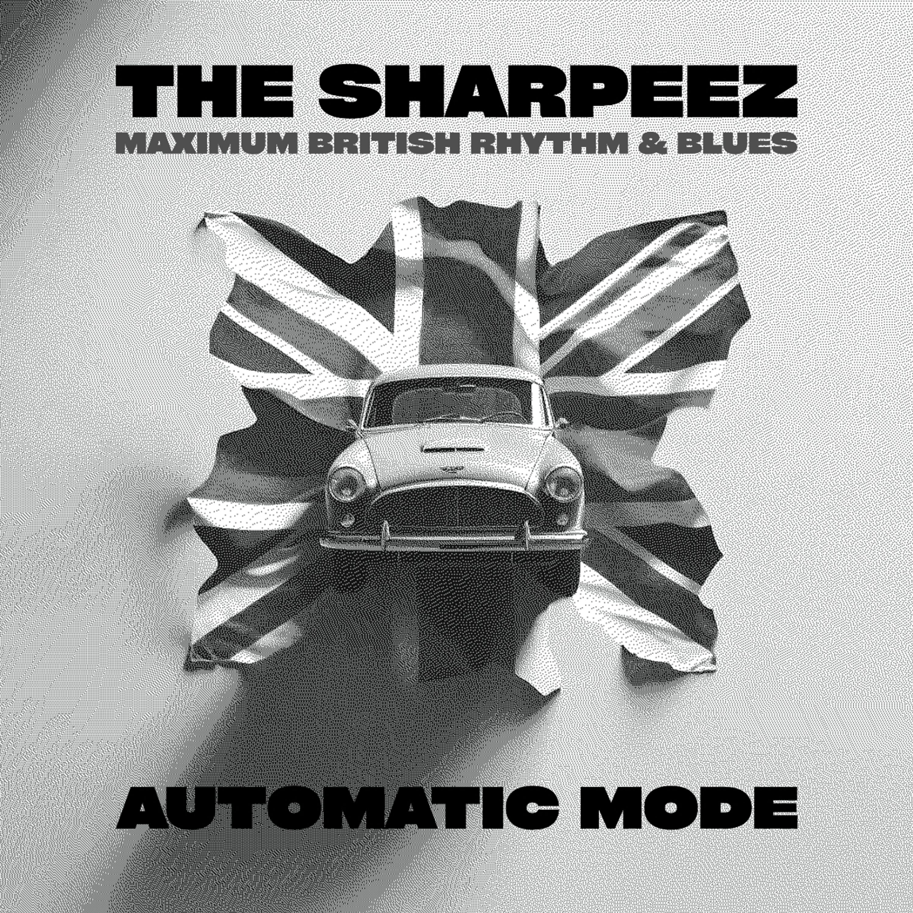 Vinyl - AUTOMATIC MODE