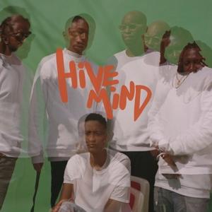 Vinyl The Internet - Hive Mind