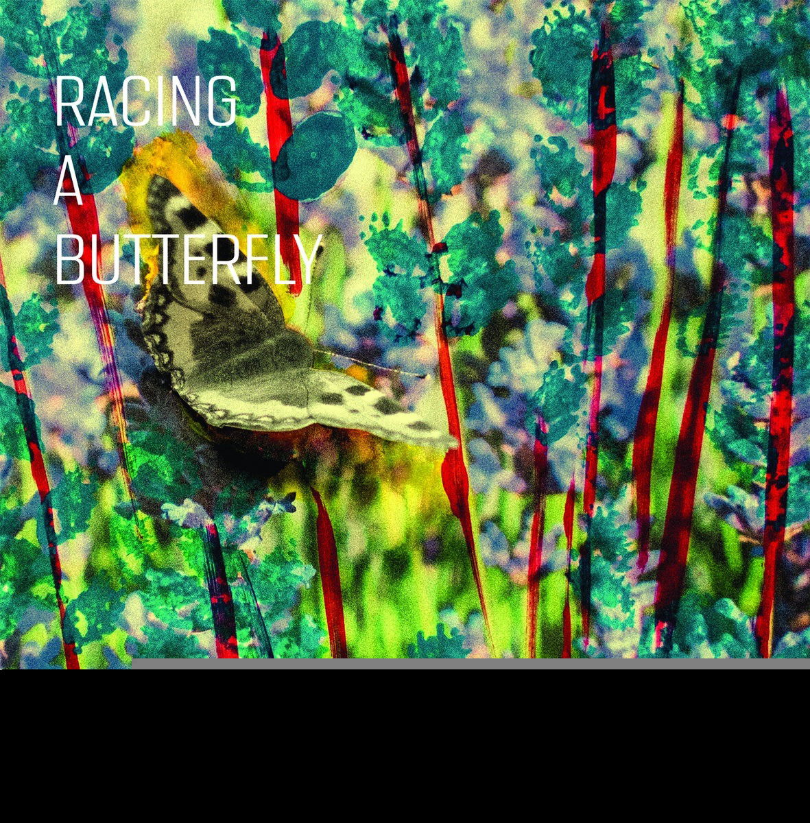 Vinyl Anne Mette Iversen - Q... - RACING A BUTTERFLY