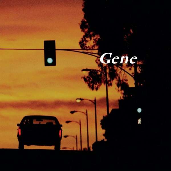 Vinyl Gene - RISING FOR SUNSET