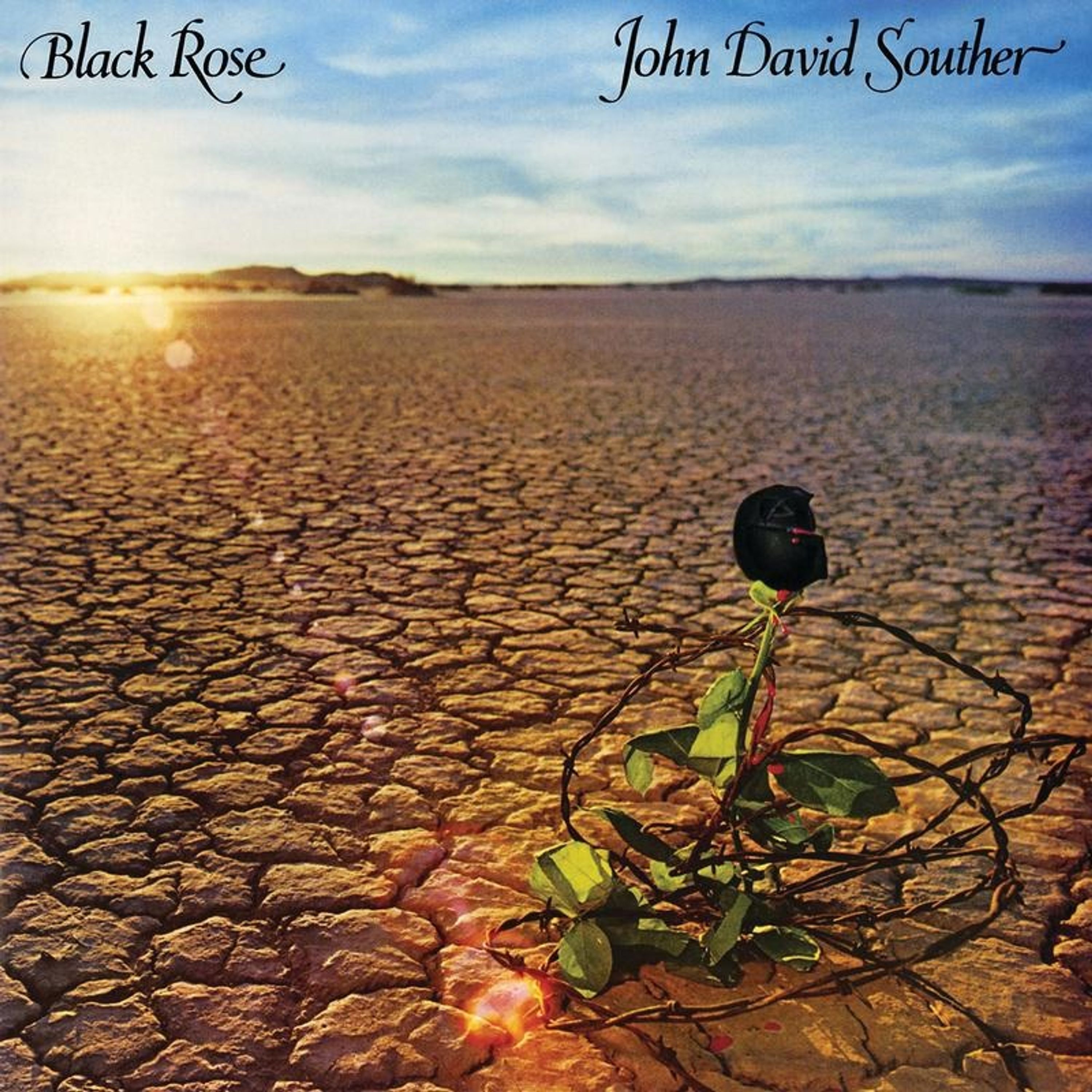 Vinyl - BLACK ROSE