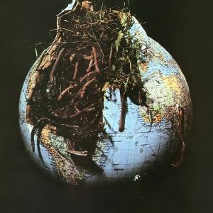 Vinyl Drosselbart - DROSSELBART
