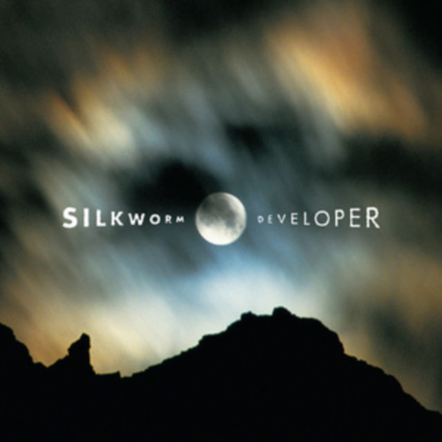 Vinyl Silkworm - DEVELOPER