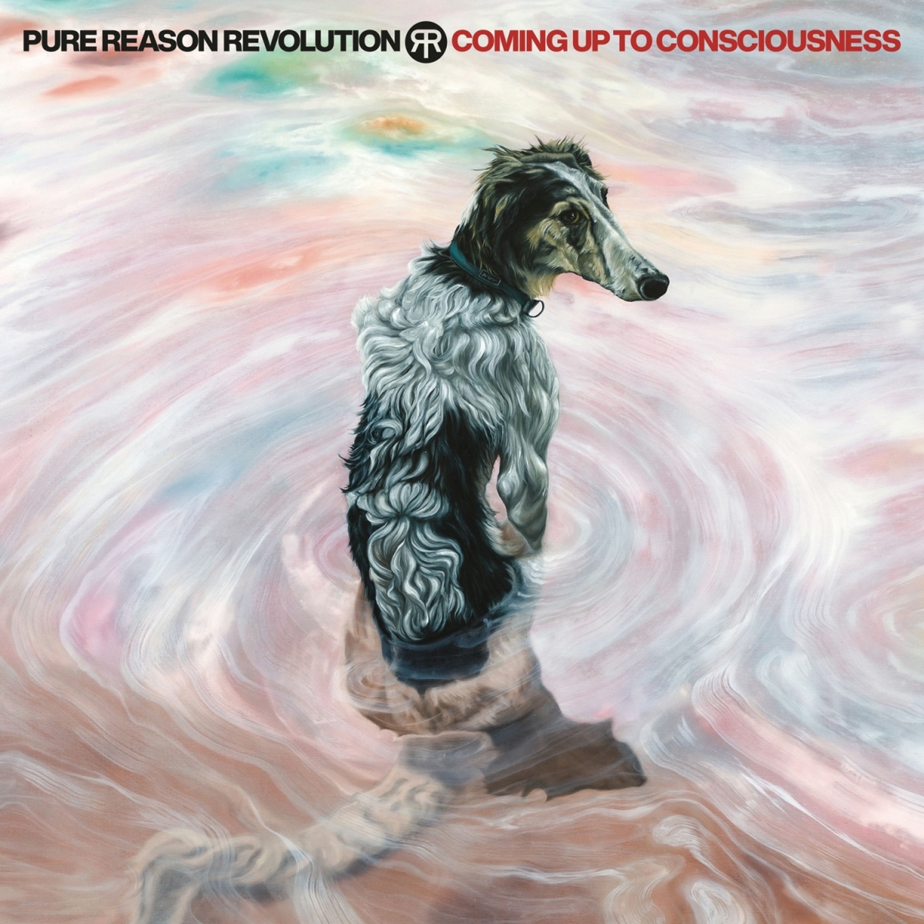 DVD Pure Reason Revolution - Coming Up To Consciousness