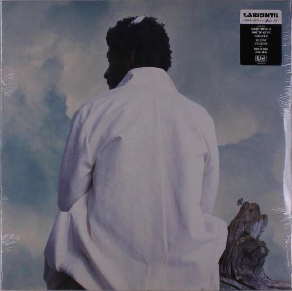 Vinyl Labrinth - MISFIT KID