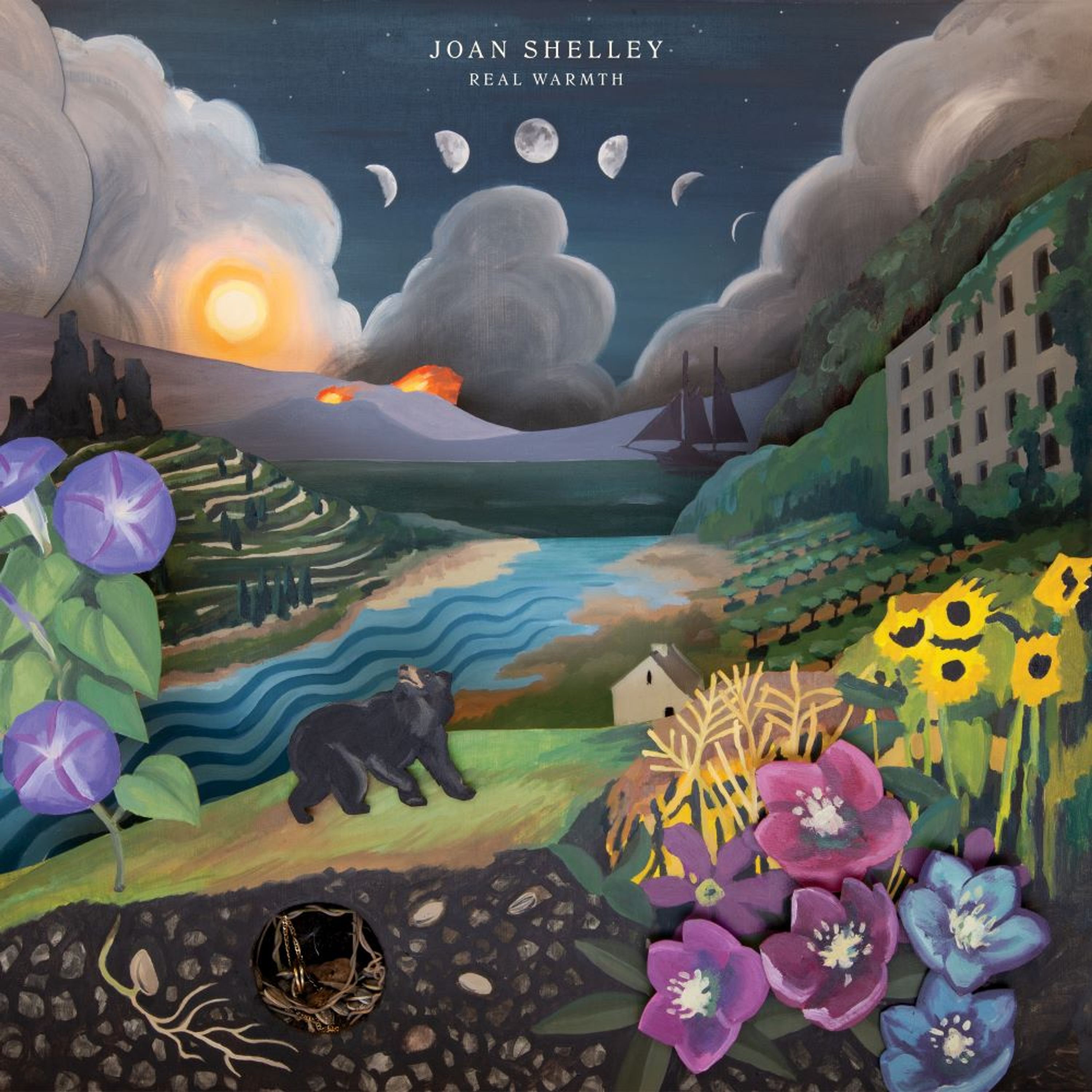 Vinyl Joan Shelley - REAL WARMTH