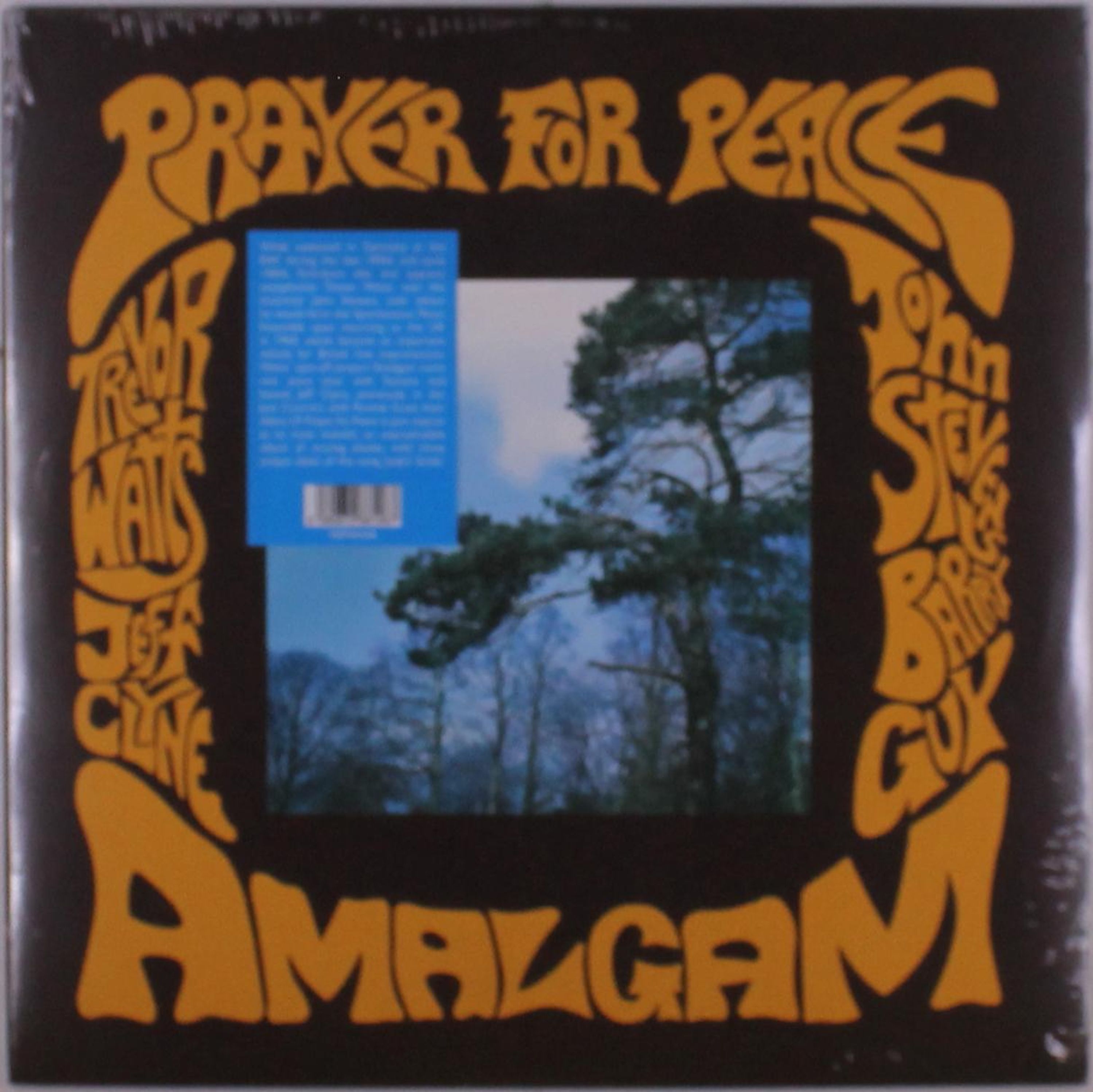 Vinyl - AMALGAM - PRAYER FOR PEACE