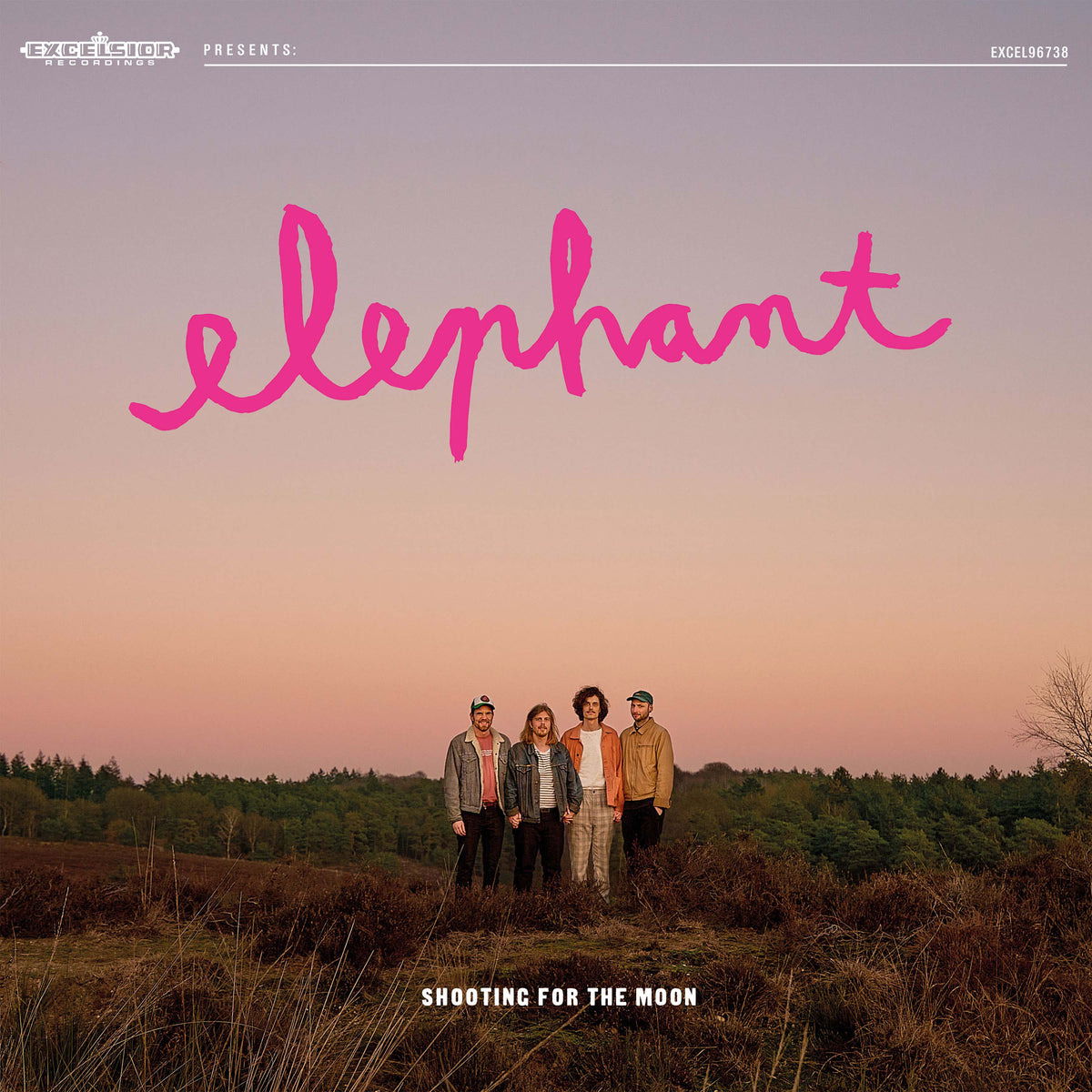 Vinyl Elephant - SHOOTING FOR THE MOON