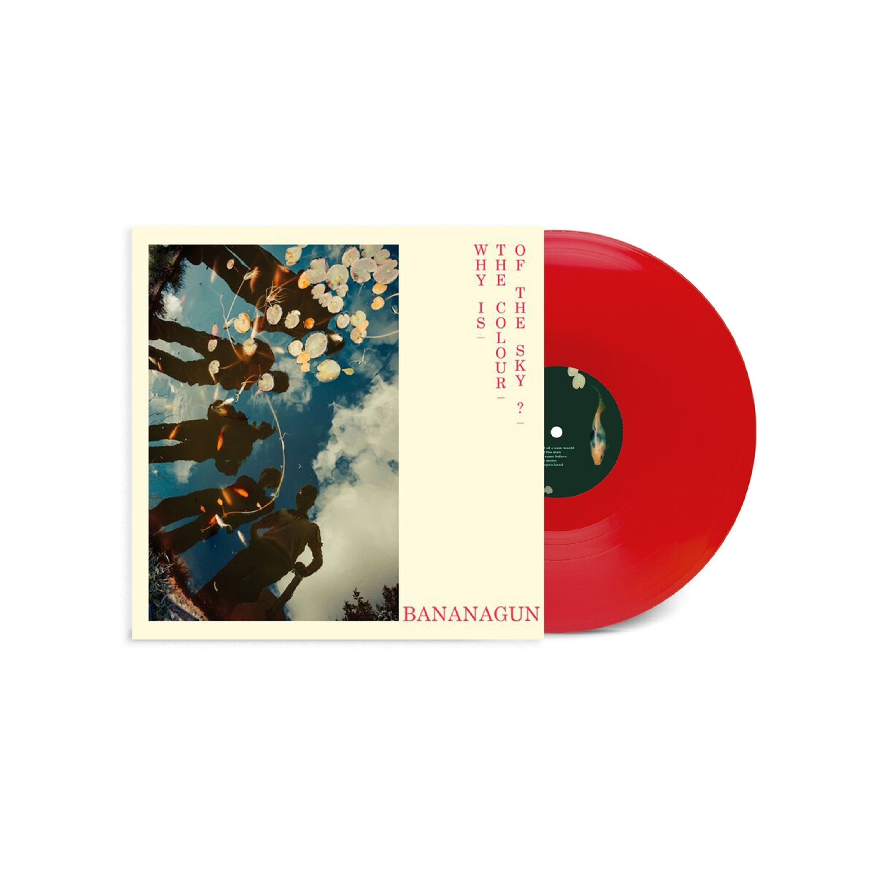Vinyl Bananagun - WHY IS THE COLOUR OF THE SKY?