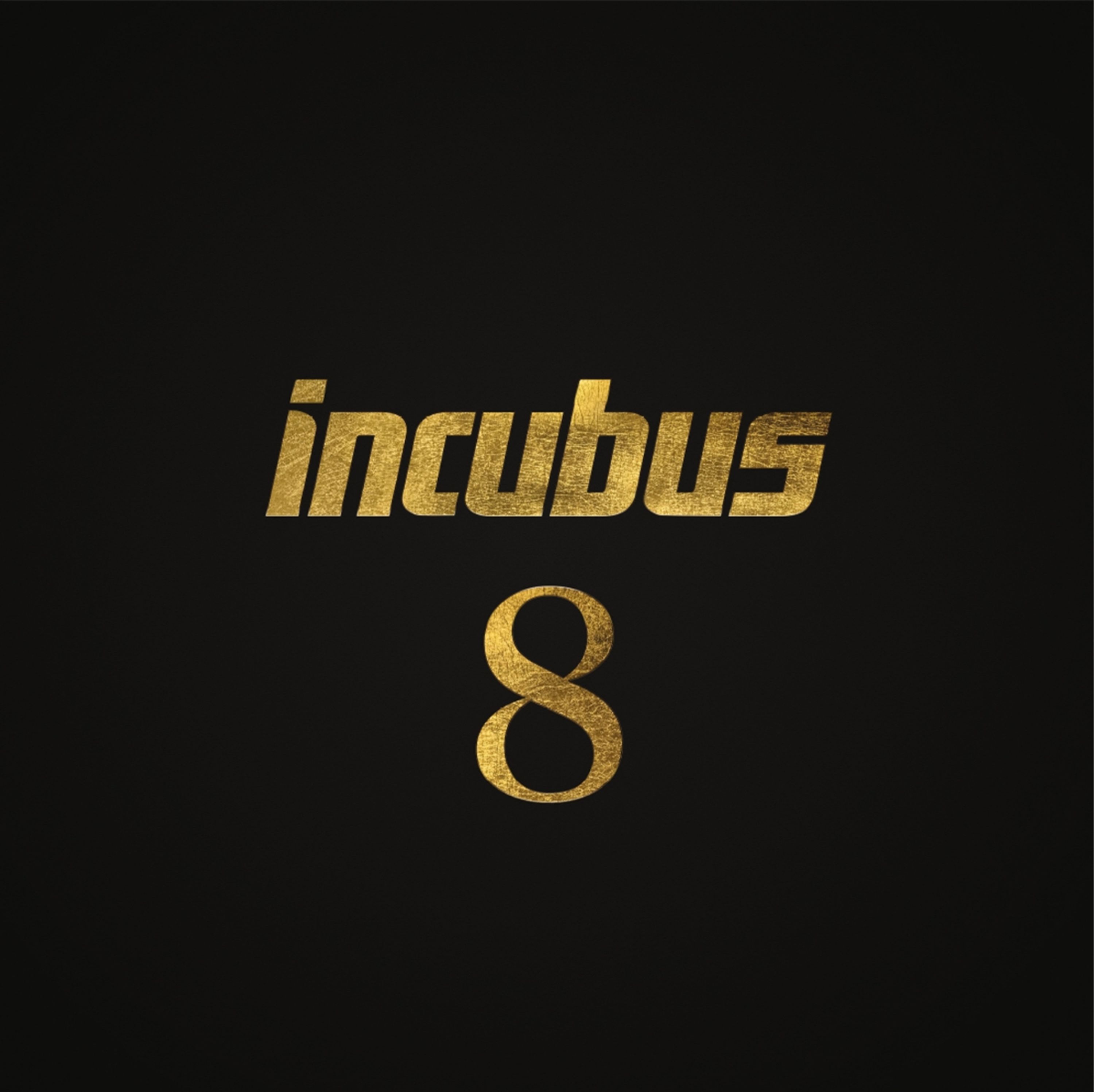 Vinyl Incubus - 8
