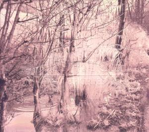 CD Esben and the Witch - VIOLET CRIES