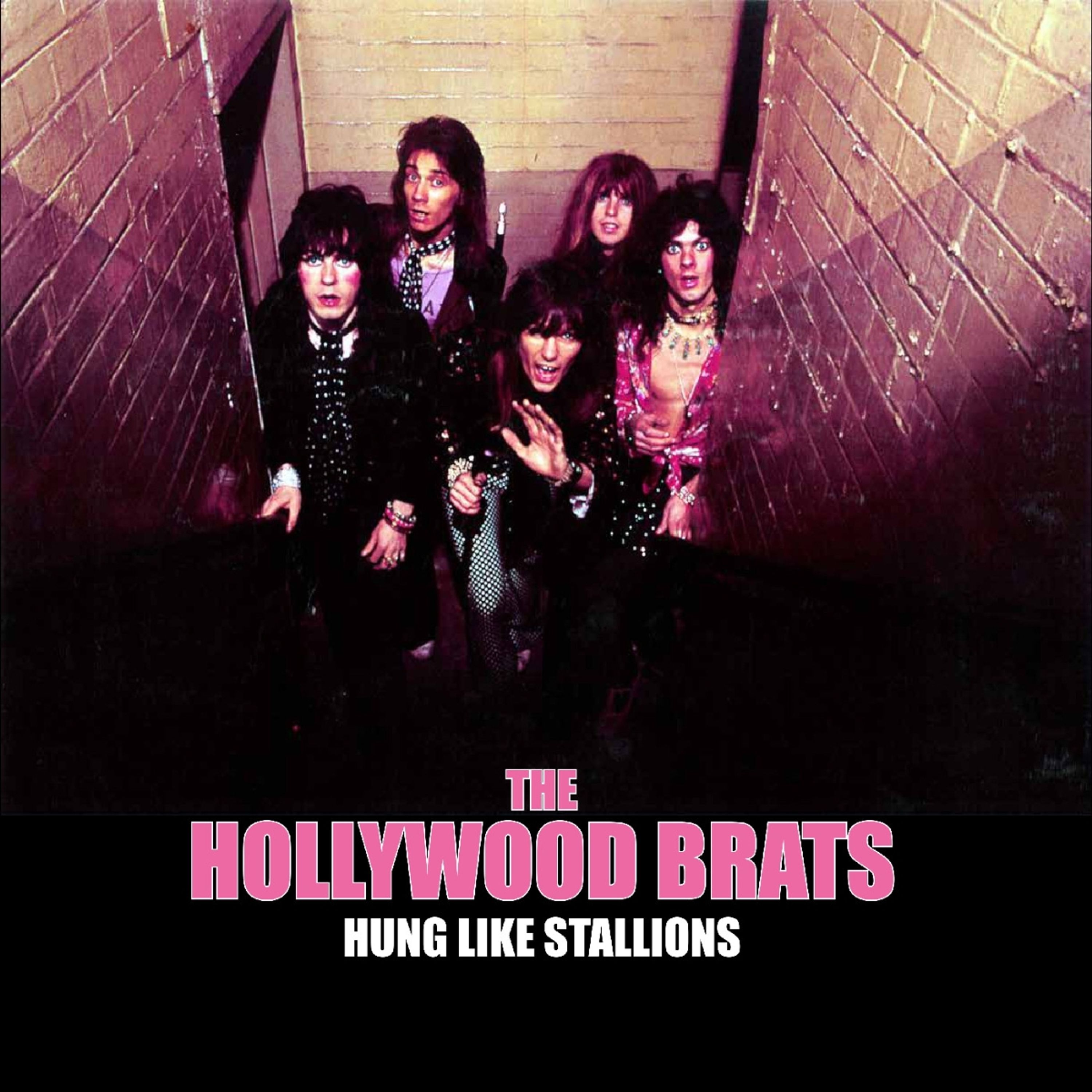 Vinyl Hollywood Brats - HUNG LIKE STALLIONS