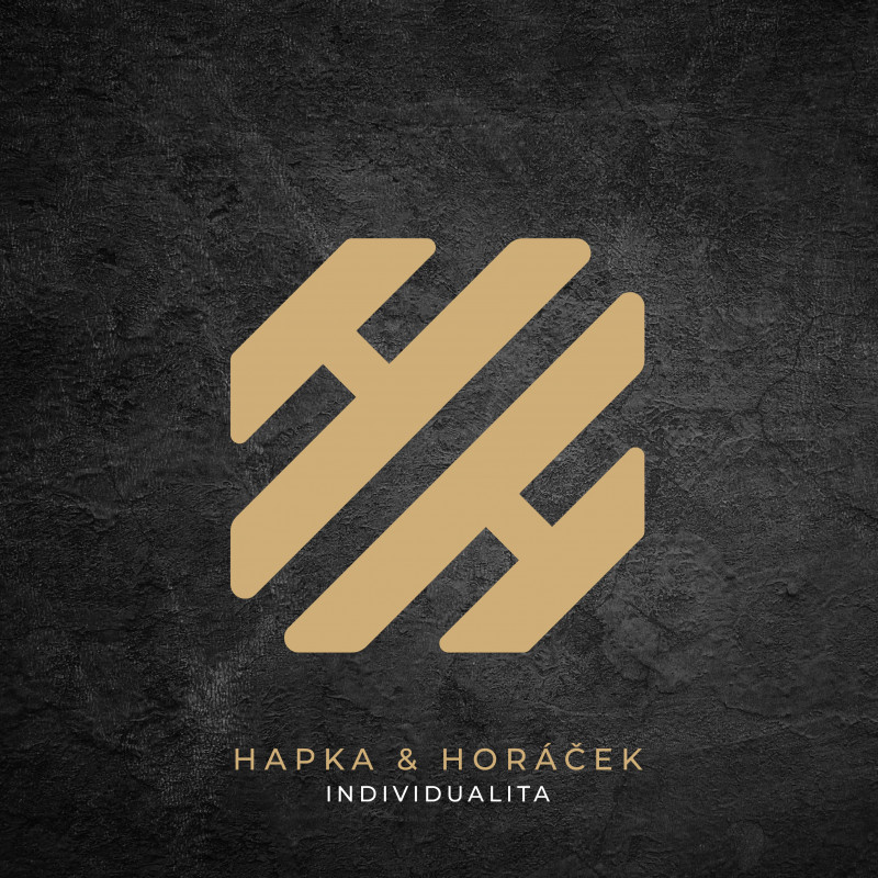 Vinyl Petr Hapka & Michal Horáček - Individualita