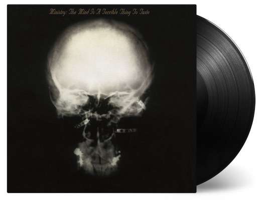 Vinyl Ministry - MIND IS A TERRIBLE THING TO TASTE
