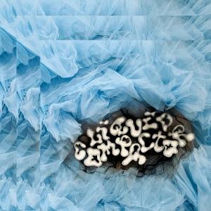 CD Penny & The Quarters - LIQUID COMPACTOR