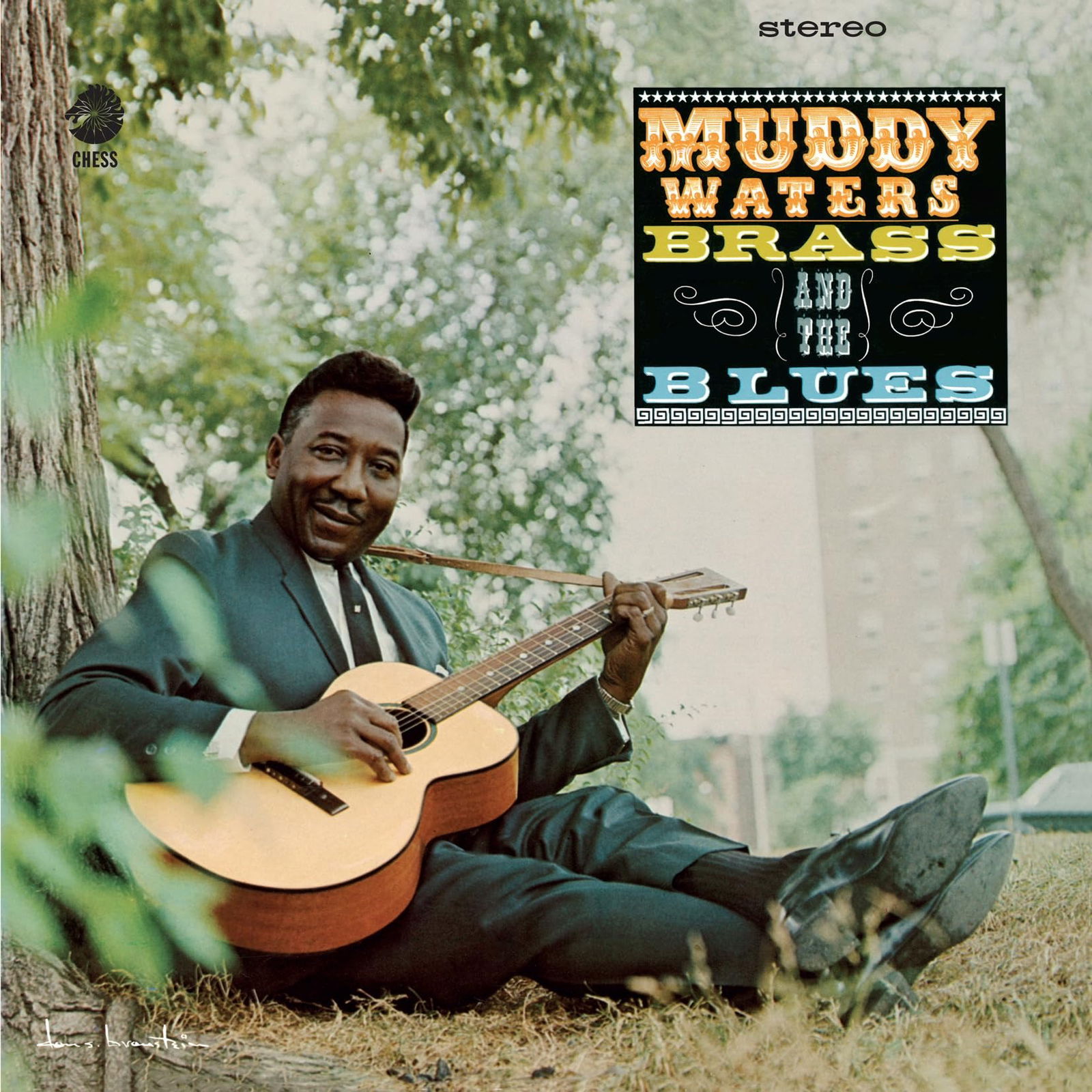 Vinyl Muddy Waters - MUDDY, BRASS & THE BLUES