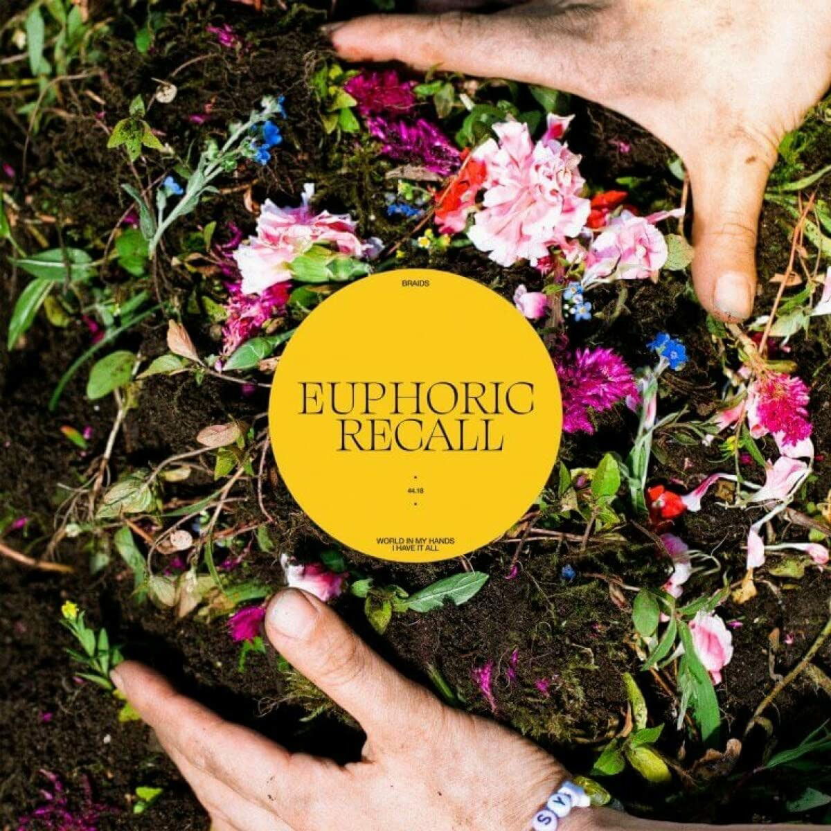 Vinyl Braids - EUPHORIC RECALL