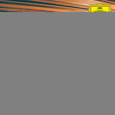 Vinyl Christian Löffler - PARALLELS: SHELLAC REWORKS