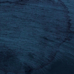 Vinyl Multicast Dynamics - AQUATIC SYSTEM