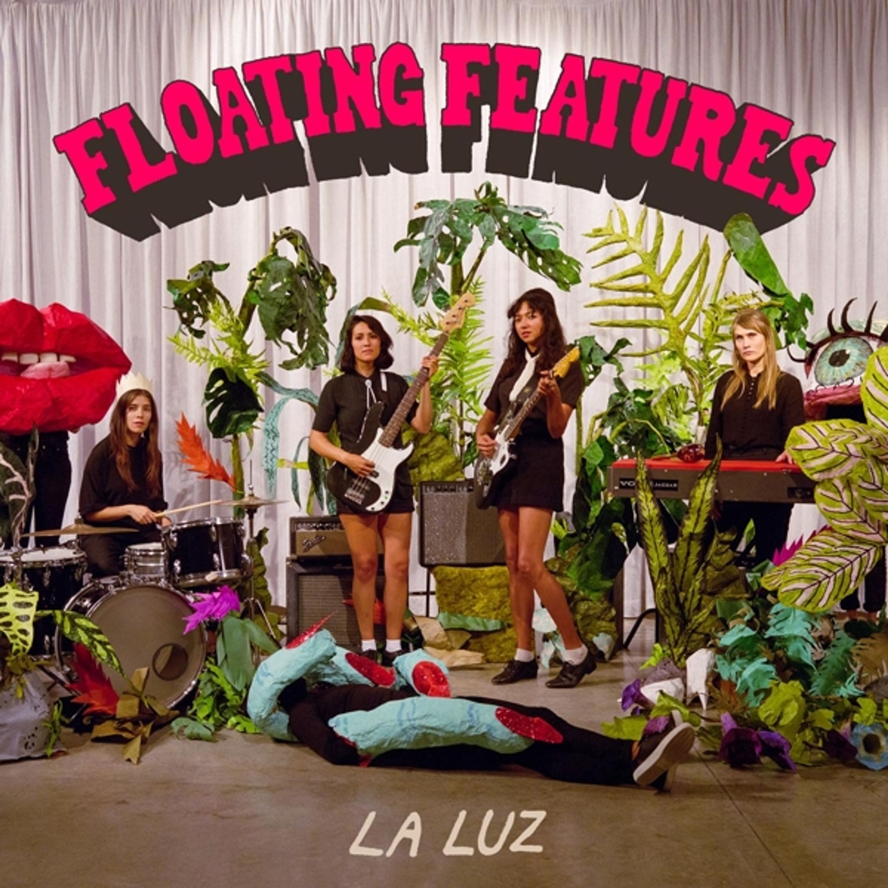 Vinyl - FLOATING FEATURES