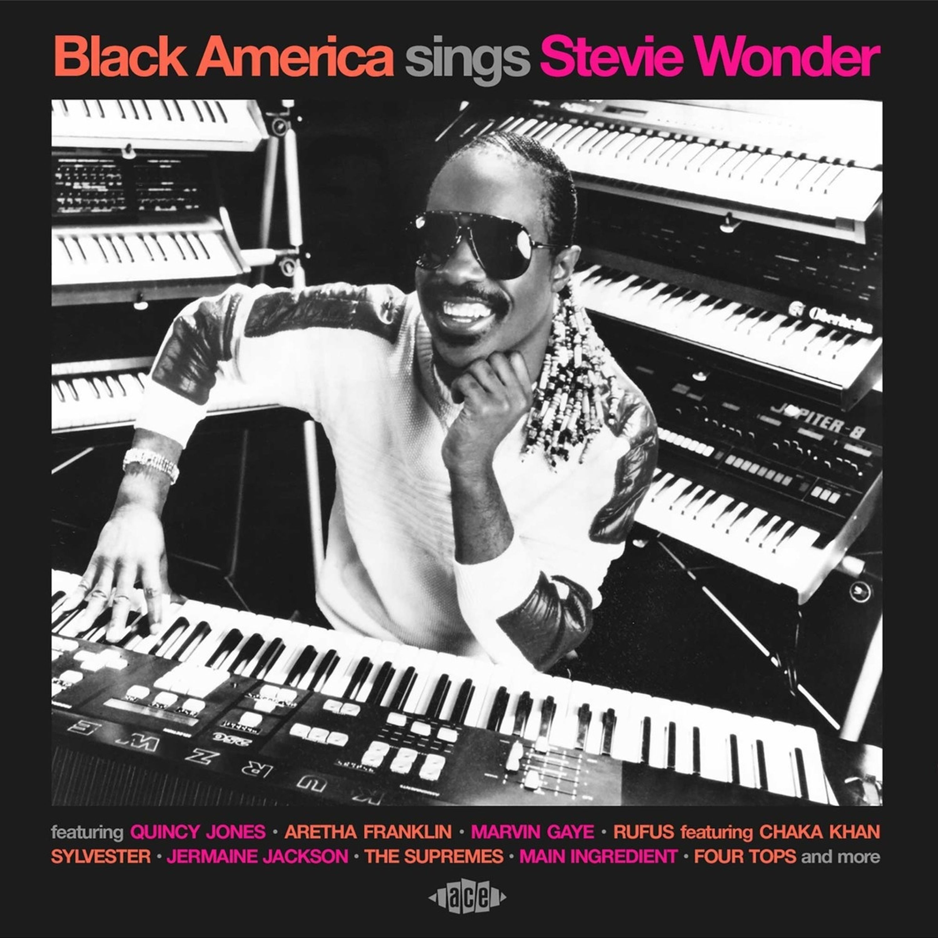 CD Various Artists - BLACK AMERICA SINGS STEVIE WONDER