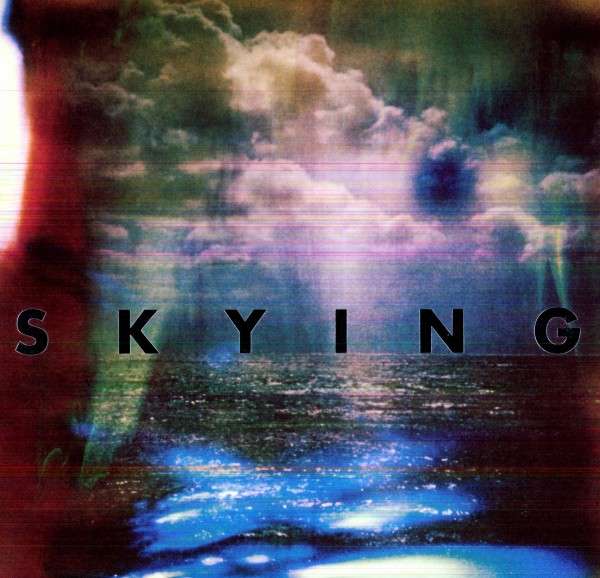 Vinyl The Horrors - SKYING