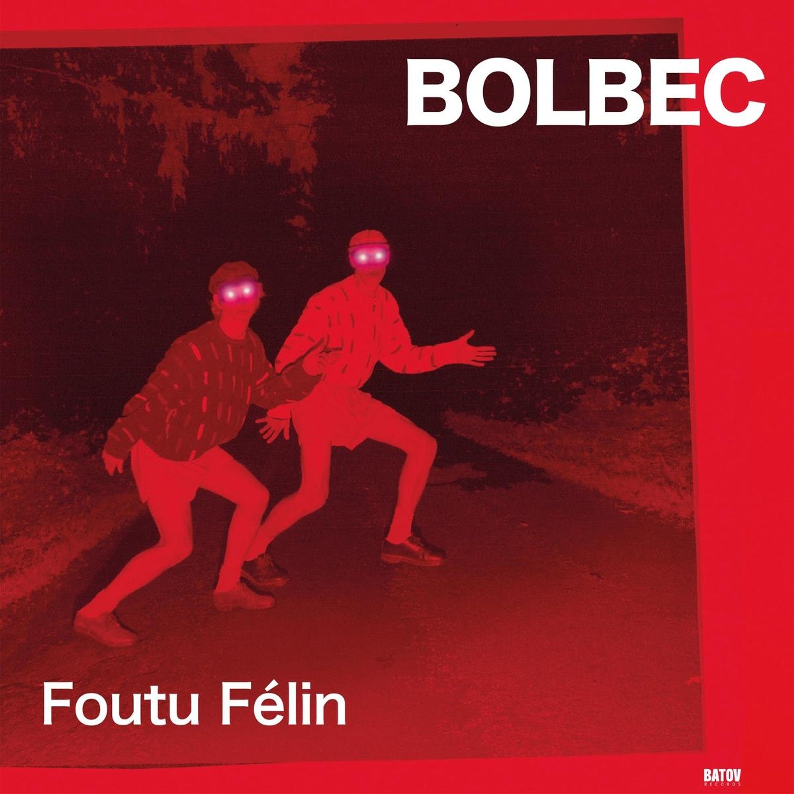 Vinyl - FOUTU FELIN
