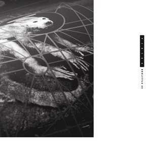 CD Pixies - DOOLITTLE 25