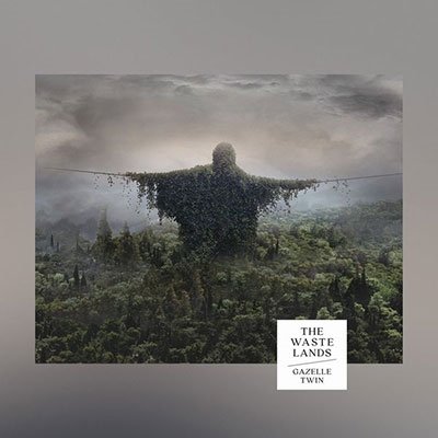 Vinyl Gazelle Twin - WASTELANDS