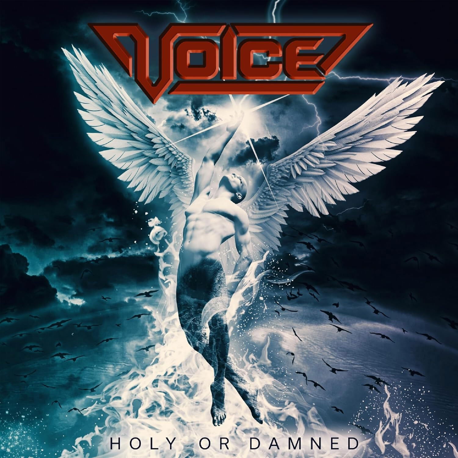 Vinyl Voice - HOLY OR DAMNED