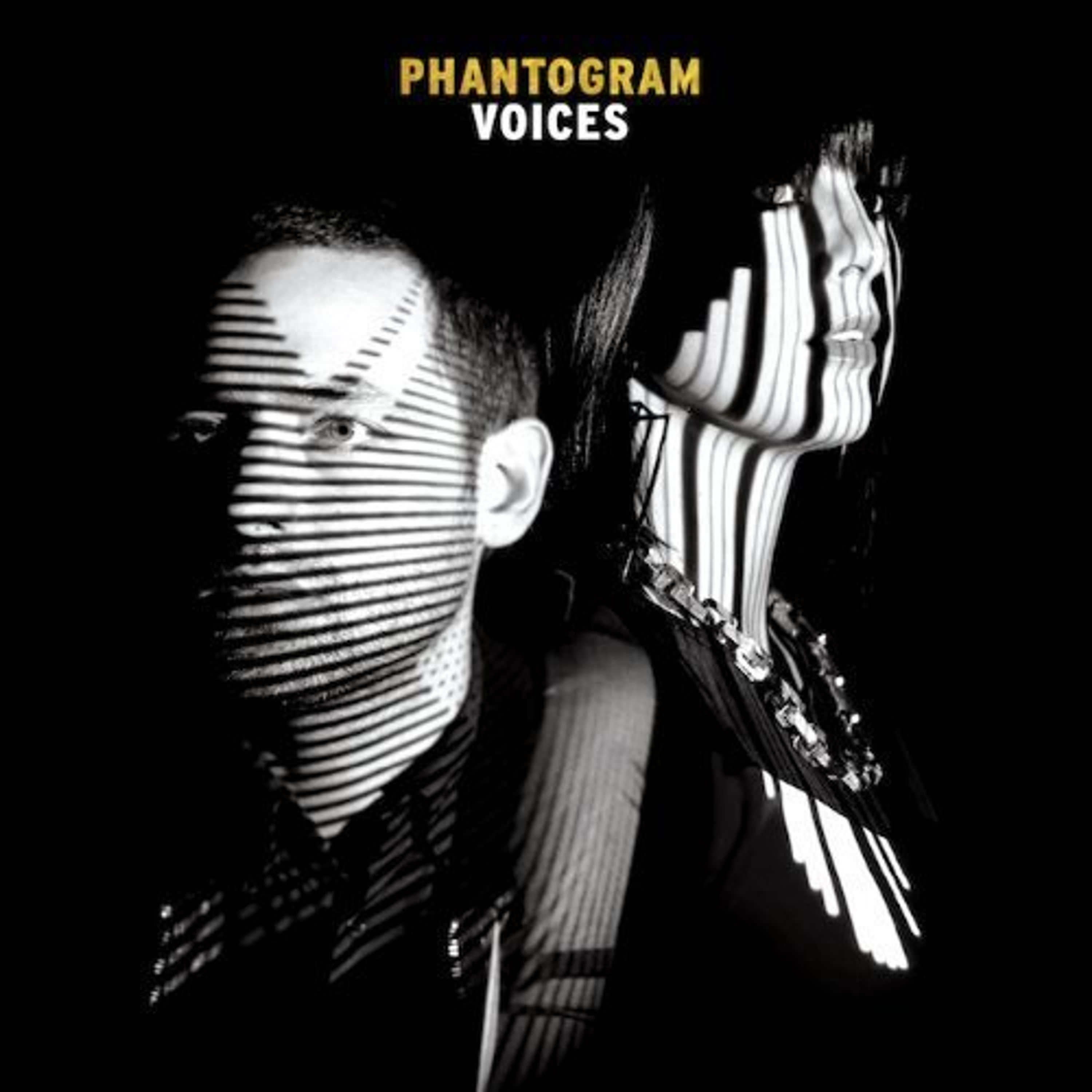 Vinyl Phantogram - VOICES