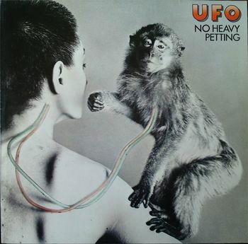 Vinyl Ufo - NO HEAVY PETTING