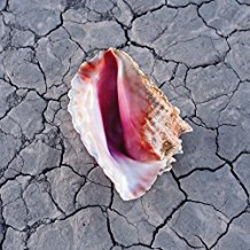 CD The Killers - WONDERFUL WONDERFUL/SOFTPA