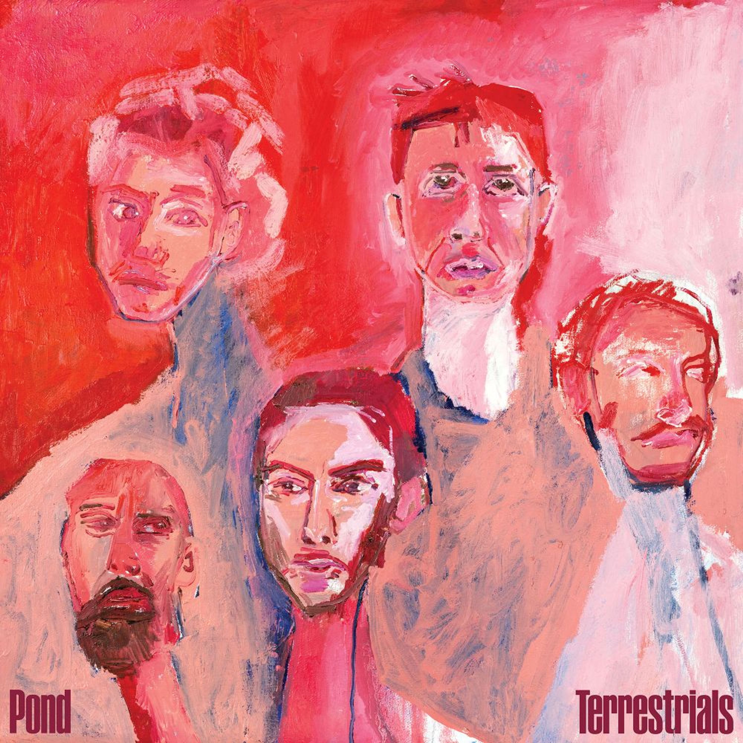 CD Pond - TERRESTRIALS