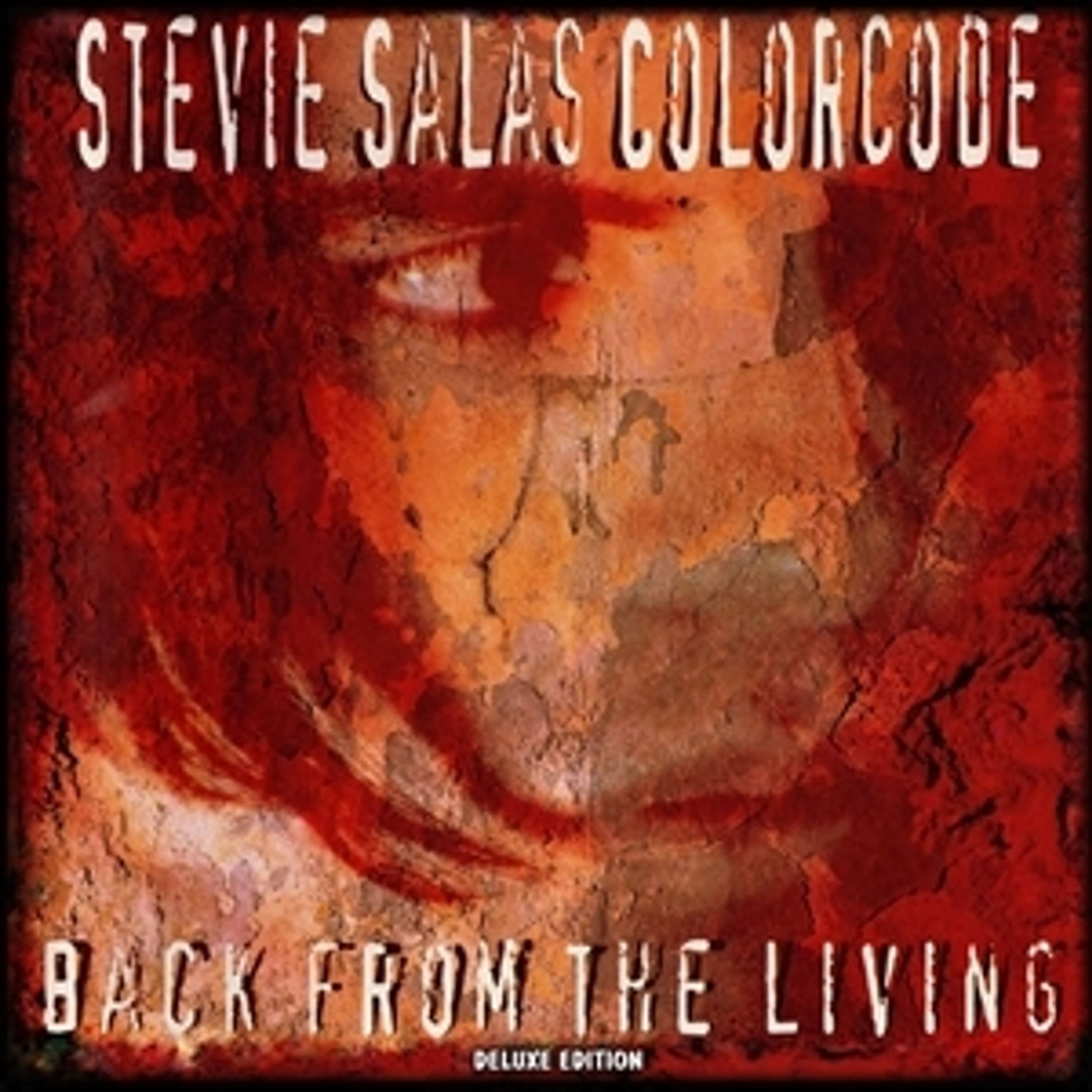 Vinyl Stevie Salas Colorcode - BACK FROM THE LIVING
