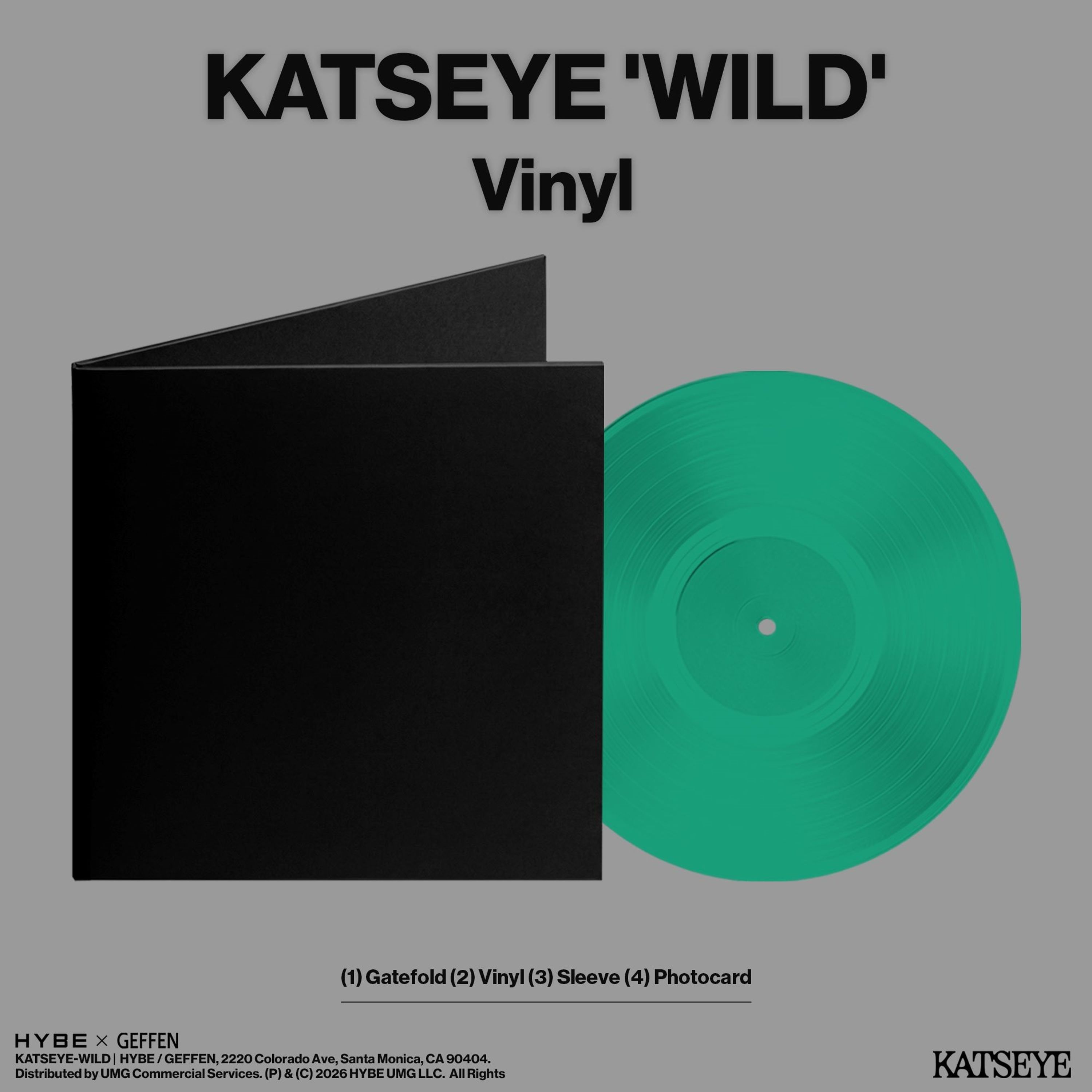 Vinyl Katseye - WILD