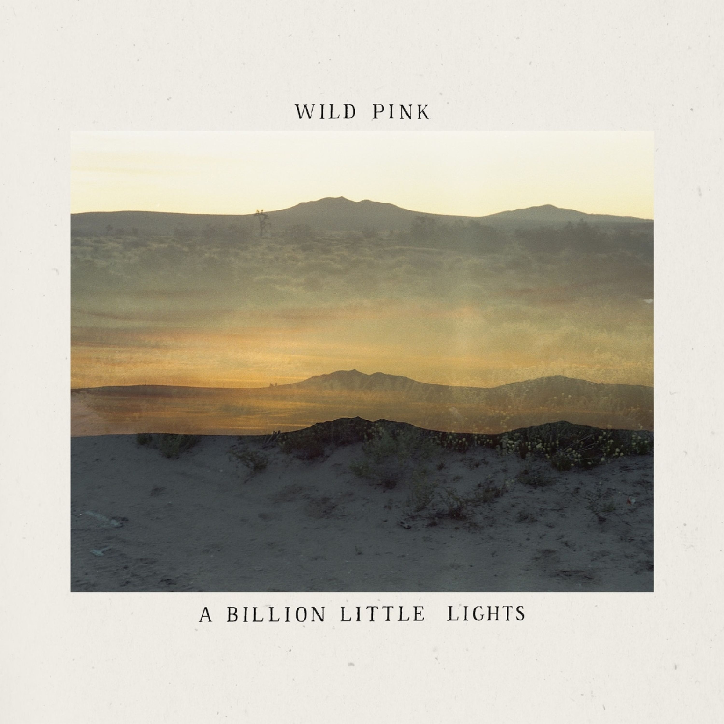 Vinyl Wild Pink - A BILLION LITTLE LIGHTS