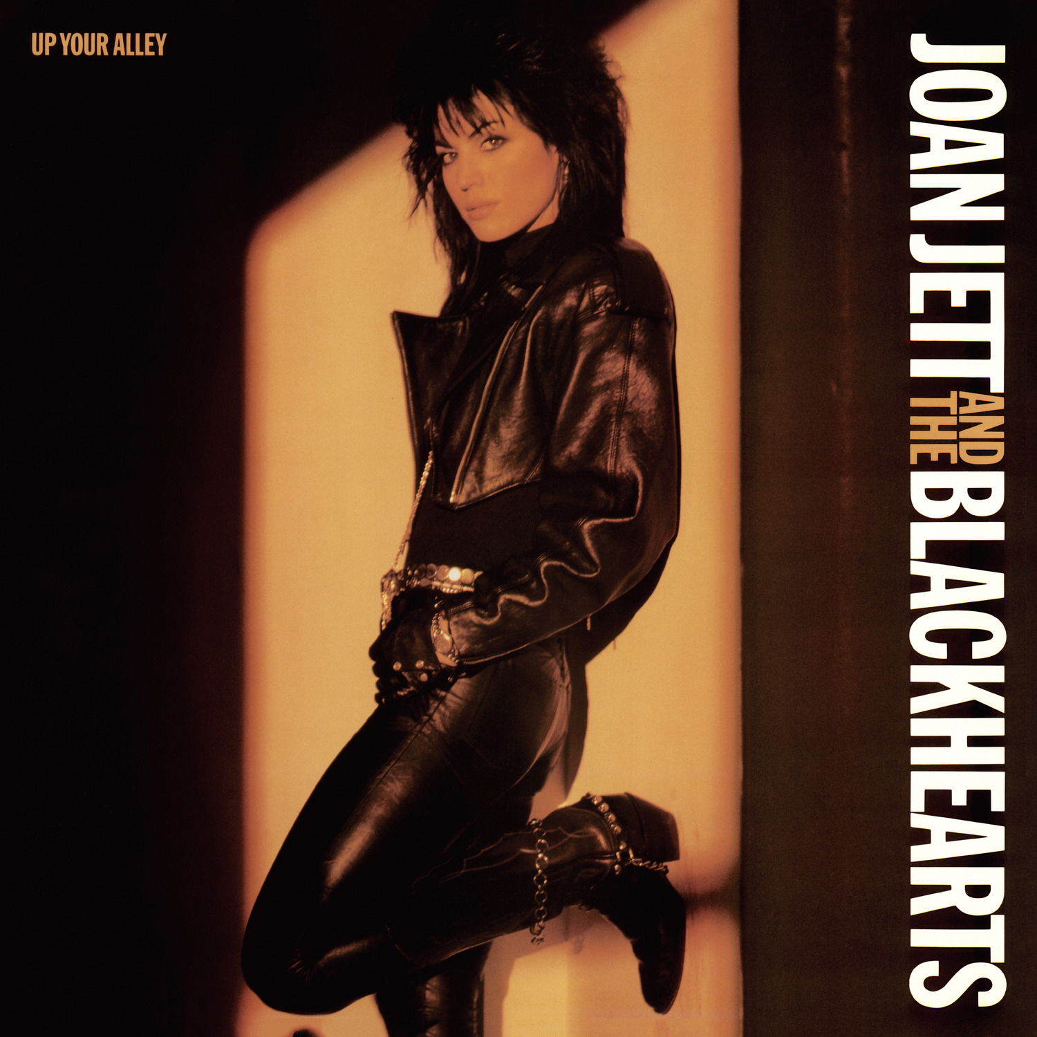 Vinyl Joan Jett & The Blackhearts - Up Your Alley