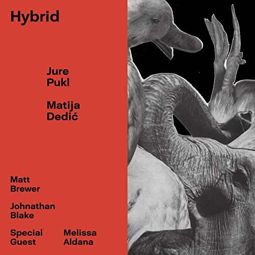 CD Jure Pukl - HYBRID