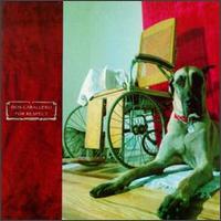 Vinyl Don Caballero - FOR RESPECT