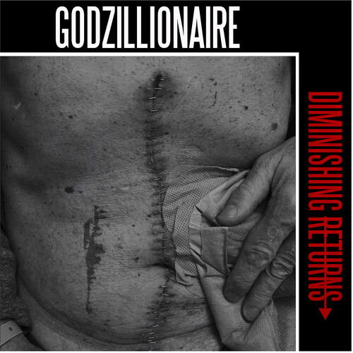 Vinyl Godzillionaire - DIMINISHING RETURNS